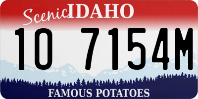 ID license plate 1O7154M