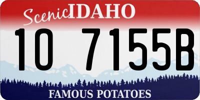 ID license plate 1O7155B