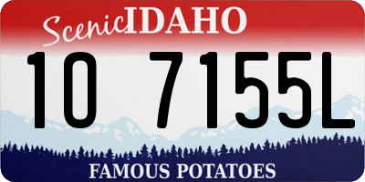 ID license plate 1O7155L