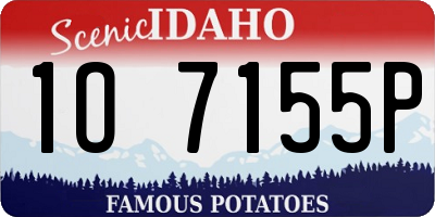 ID license plate 1O7155P