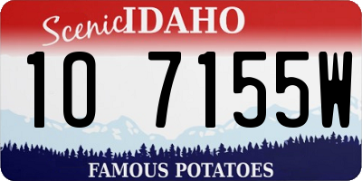 ID license plate 1O7155W