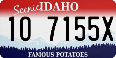 ID license plate 1O7155X