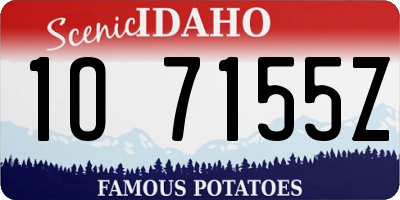 ID license plate 1O7155Z