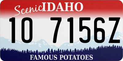 ID license plate 1O7156Z