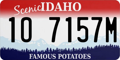 ID license plate 1O7157M