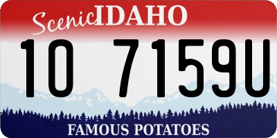 ID license plate 1O7159U