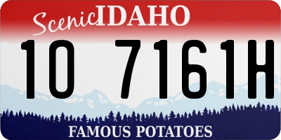 ID license plate 1O7161H