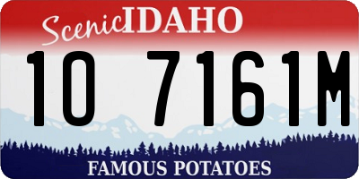 ID license plate 1O7161M
