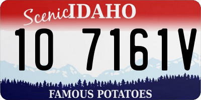 ID license plate 1O7161V
