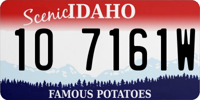 ID license plate 1O7161W