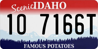ID license plate 1O7166T
