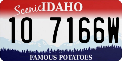ID license plate 1O7166W