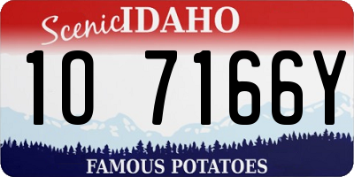 ID license plate 1O7166Y