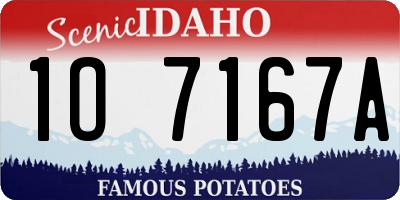 ID license plate 1O7167A