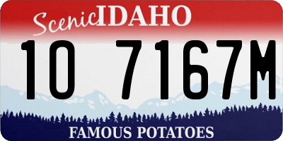 ID license plate 1O7167M