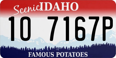 ID license plate 1O7167P