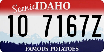 ID license plate 1O7167Z