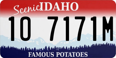 ID license plate 1O7171M