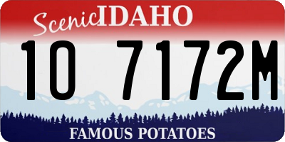 ID license plate 1O7172M