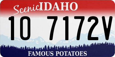 ID license plate 1O7172V