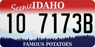 ID license plate 1O7173B