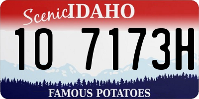 ID license plate 1O7173H
