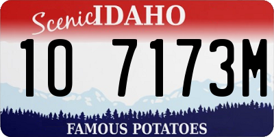 ID license plate 1O7173M