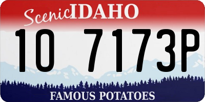 ID license plate 1O7173P