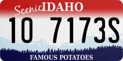 ID license plate 1O7173S