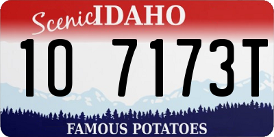 ID license plate 1O7173T
