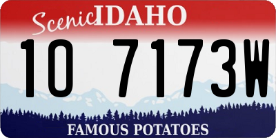 ID license plate 1O7173W