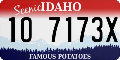 ID license plate 1O7173X