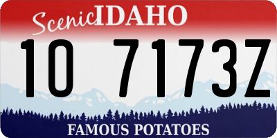 ID license plate 1O7173Z