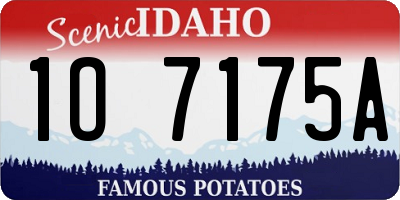 ID license plate 1O7175A