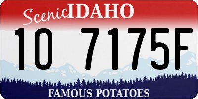 ID license plate 1O7175F