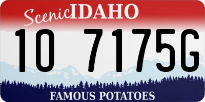 ID license plate 1O7175G
