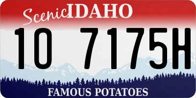 ID license plate 1O7175H