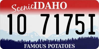 ID license plate 1O7175I