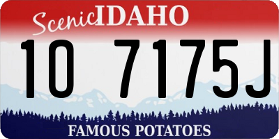 ID license plate 1O7175J