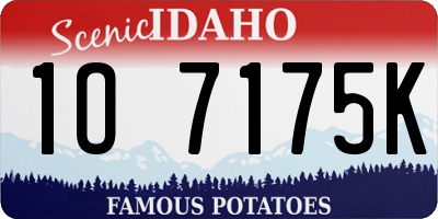 ID license plate 1O7175K
