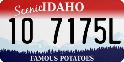 ID license plate 1O7175L