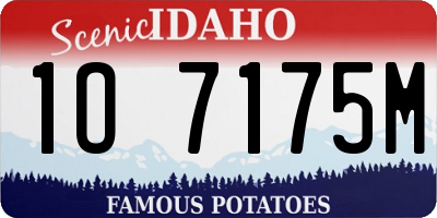 ID license plate 1O7175M