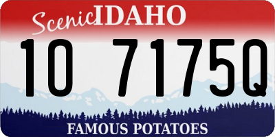 ID license plate 1O7175Q