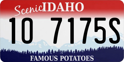 ID license plate 1O7175S