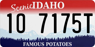 ID license plate 1O7175T