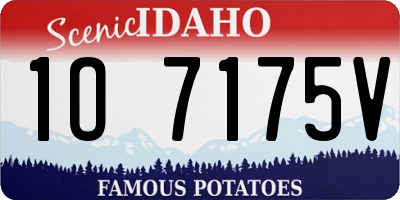 ID license plate 1O7175V