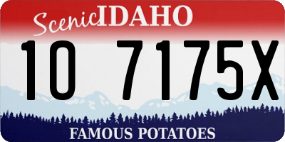 ID license plate 1O7175X