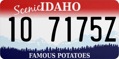 ID license plate 1O7175Z