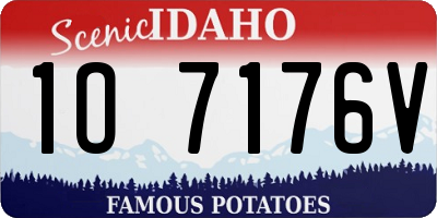 ID license plate 1O7176V