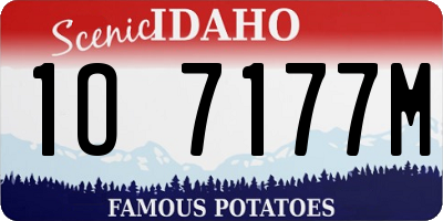 ID license plate 1O7177M